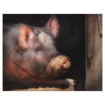 Pig - Piggy number two Personalized Flyer