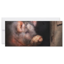 Pig - Piggy number two Full Color Rack Card