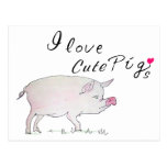 pig postcards
