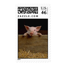 Pig Postage