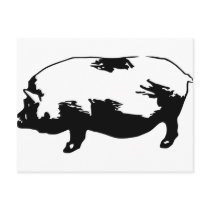 Pig postcards