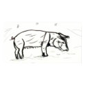 Pig posters
