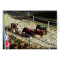 Pig race at the County Fair - Card by GardenDelightsArts Pig race at the County Fair - Card