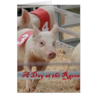 Pig racing, Pig race photograph, pink pig Greeting Card
