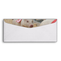 Pig racing, Pig race photograph, pink pig Envelope