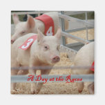Pig racing, Pig race photograph, pink pig Fridge Magnet