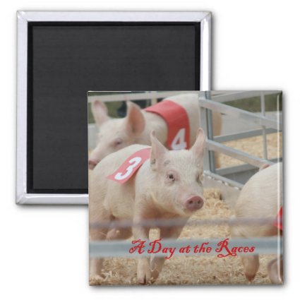 Pig racing, Pig race photograph, pink pig Fridge Magnet