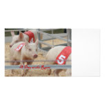 Pig racing, Pig race photograph, pink pig Customized Photo Card