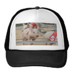 Pig racing pink piglet number three trucker hat
