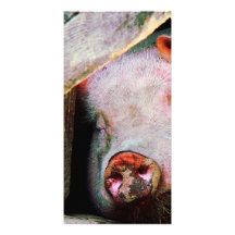 Pig Sleeping Picture Card