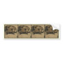Pig - Square Animals Illustration Bumper Sticker