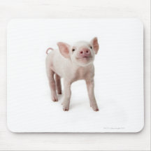 Pig Standing Looking Up Mousepads