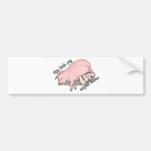 Pig Stayed Home Bumper Stickers