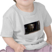 Pig Tees