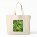Pigeon apples