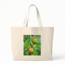 Pigeon apples bags