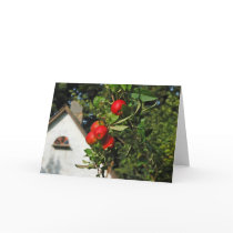 Pigeon Apples Greeting Cards cards