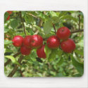 Pigeon apples mousepads by Thorninger Pigeon apples mousepads
