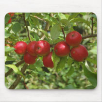 Pigeon apples mousepads by Thorninger Pigeon apples mousepads