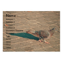 Pigeon Business Card Templates