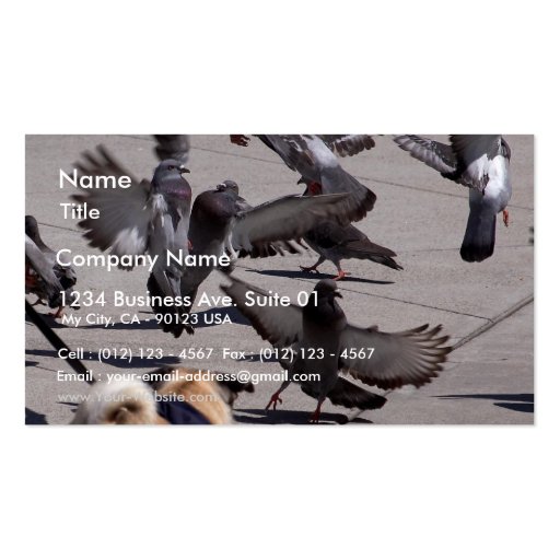 Pigeon Business Card Templates