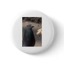 pigeon pins