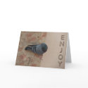 pigeon celebration card