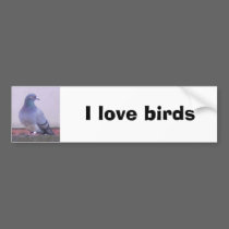 Pigeon copy, I love pigeons bumper stickers