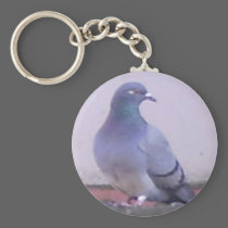 Pigeon copy keychains