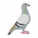 Pigeon embroidered shirts
