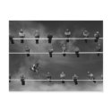 Pigeon Foosball Post Card postcards