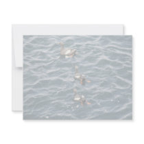 Pigeon Guillemont invitations by animalpark Pigeon Guillemont invitations