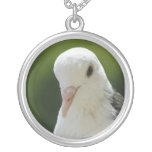 Pigeon Jewelry