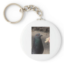 pigeon key chains