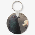 pigeon keychains by amjon1 pigeon keychains