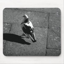 Pigeon Mousepad by busker06 Pigeon Mousepad