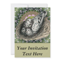 Pigeon Nest Custom Announcement