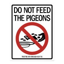 Pigeon Offerings poster posters by carpecranium Pigeon Offerings poster posters