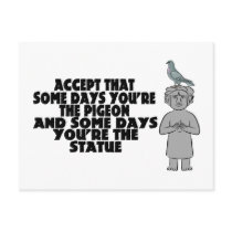 Pigeon Or Statue Post Card