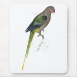 Pigeon Parrakeet by Edward Lear Mouse Mat