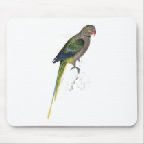 Pigeon Parrakeet by Edward Lear Mousemat
