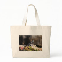 Pigeon perched on a cliff ledge canvas bag