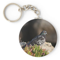 Pigeon perched on a cliff ledge keychains