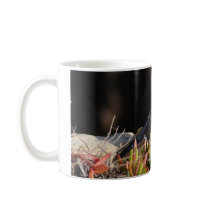 Pigeon perched on a cliff ledge coffee mug