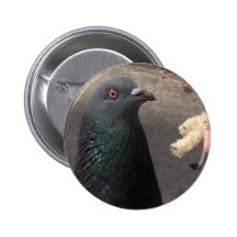 pigeon pin