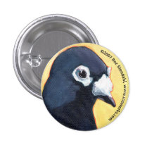 pigeon pinback buttons