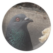 Pigeon Plate