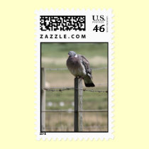Pigeon Post Postage postage