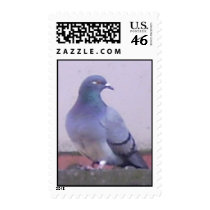 Pigeon postage