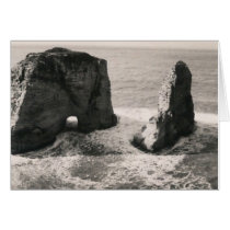 Pigeon Rock Cards